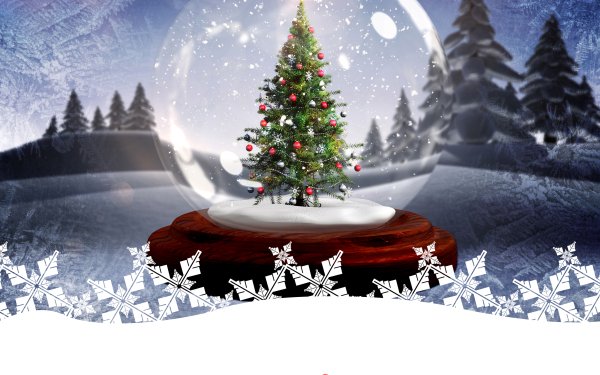 Holiday Christmas Snow Globe Christmas Tree Merry Christmas HD Wallpaper | Background Image