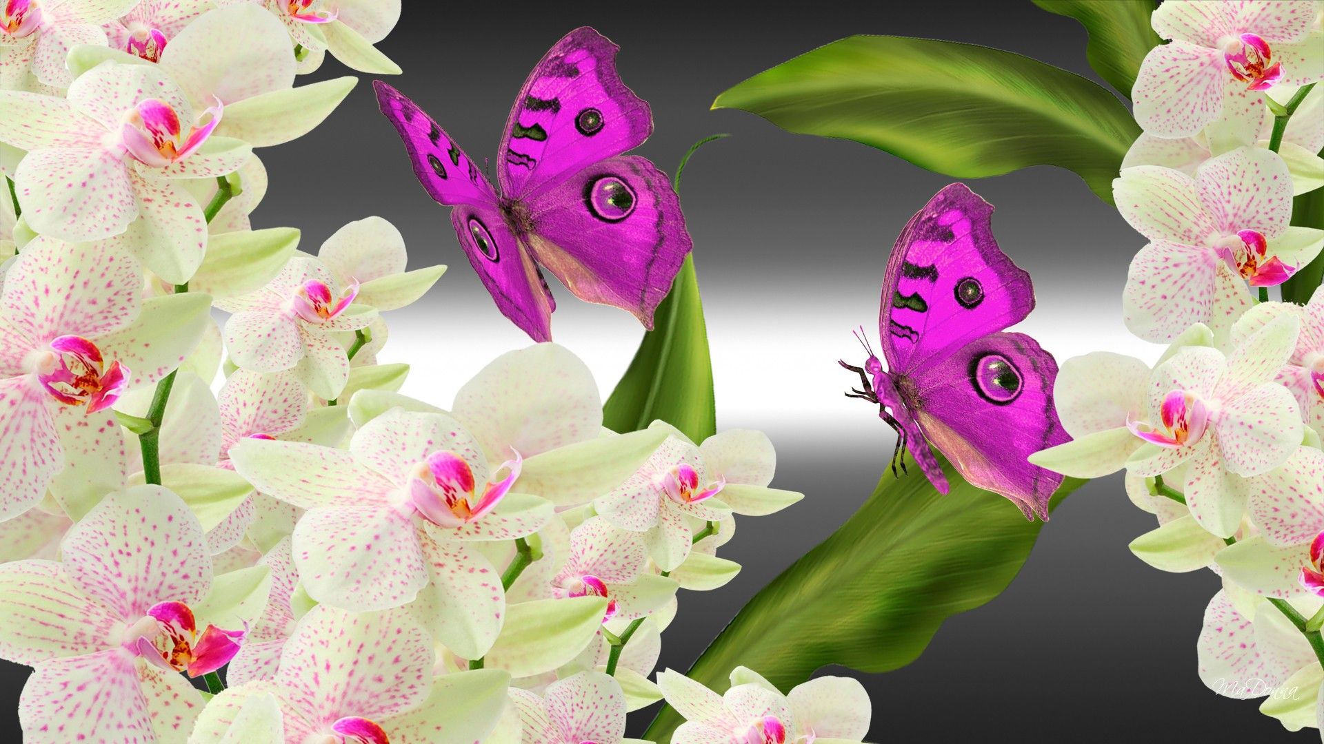 Orchids and Butterflies by MaDonna