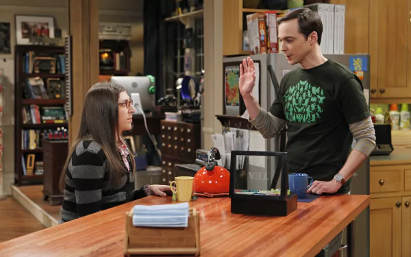 Sheldon Cooper Jim Parsons Amy Farrah Fowler Mayim Bialik TV Show The Big Bang Theory HD Desktop Wallpaper | Background Image