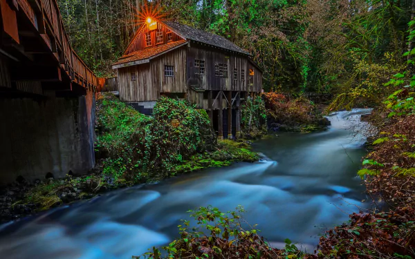 HD PC desktop wallpaper: rustic man-made wooden watermill on stilts beside a flowing river, nestled among dense forest trees and lush greenery.