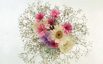  Gerbera and Daisy Bouquet