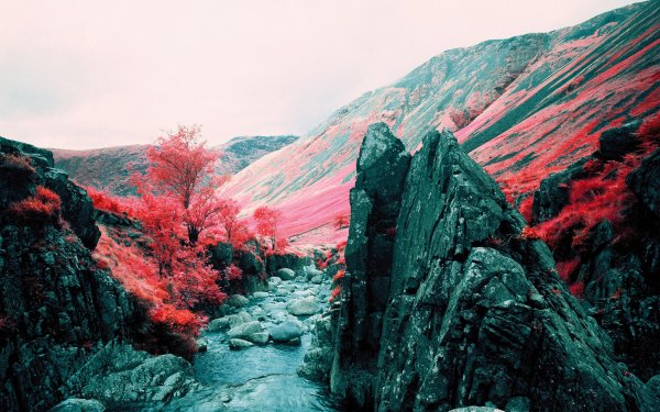 Nature Fall Stream HD Wallpaper | Background Image