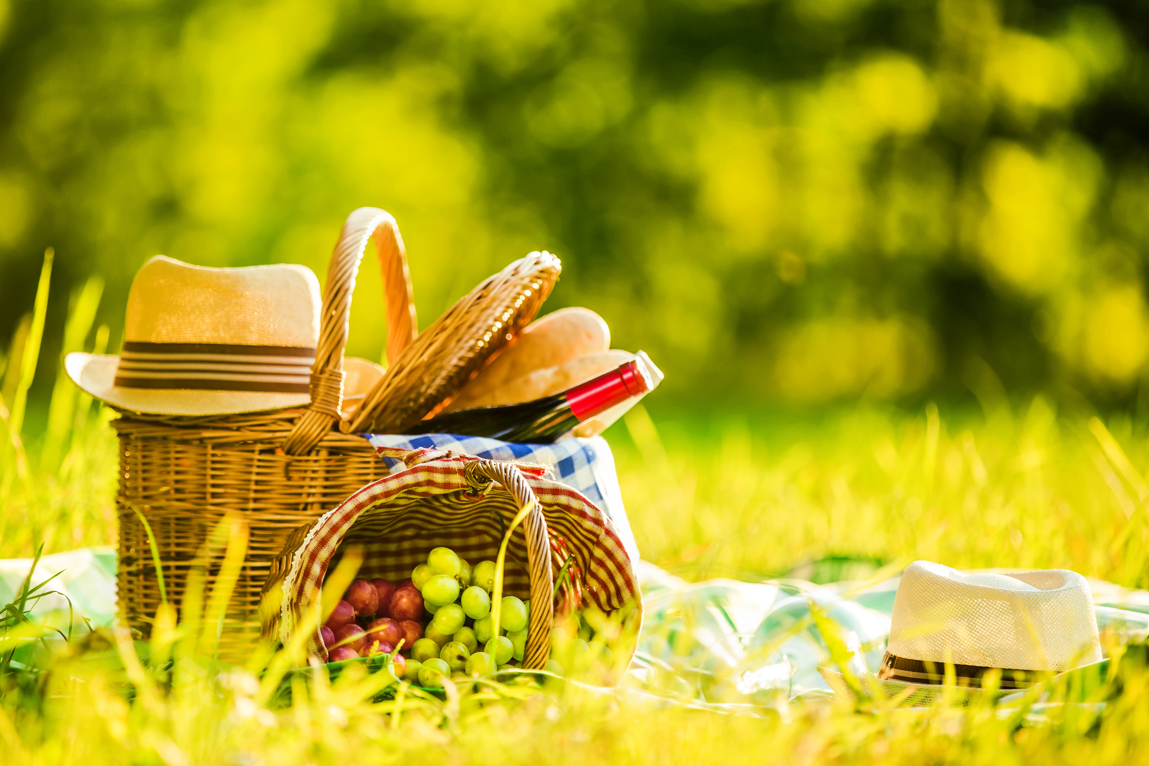 Photography Picnic HD Wallpaper | Background Image