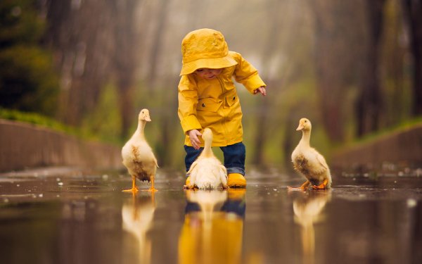 Photography Child Reflection Bird Duck Depth Of Field Cute HD Wallpaper | Background Image