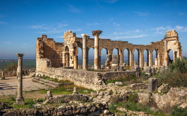 Man Made Roman Forum Volubilis Ruin Morocco Africa Architecture HD Wallpaper | Background Image