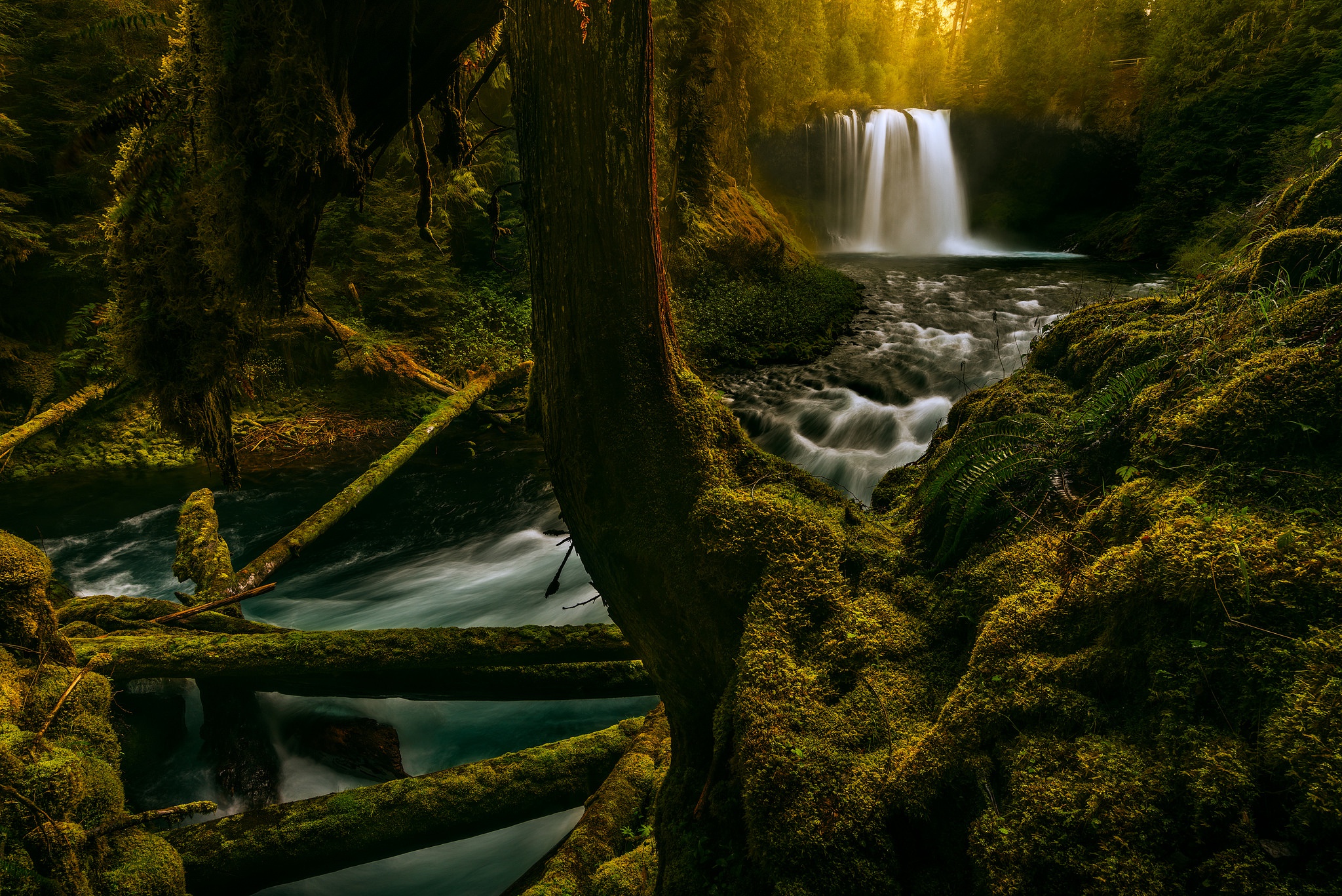 Download River Moss Nature Waterfall HD Wallpaper