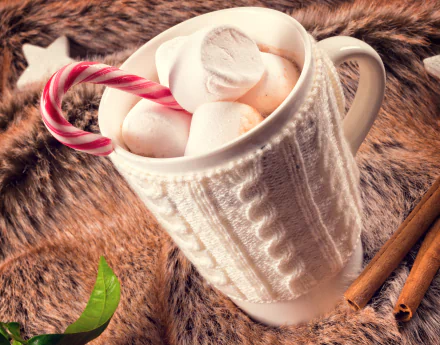 candy cane cup food marshmallow HD Desktop Wallpaper | Background Image