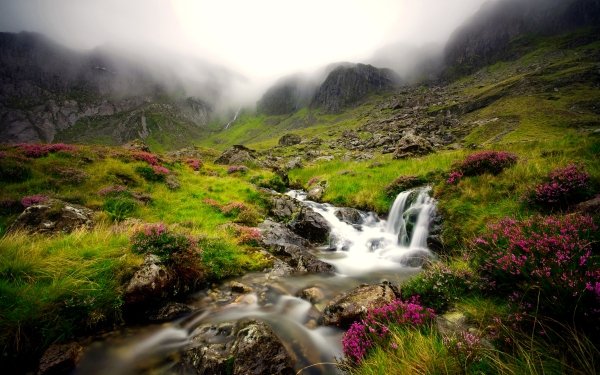 Earth Waterfall Waterfalls Fog Mountain Flower Stream HD Wallpaper | Background Image