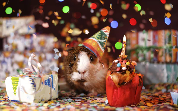 A cute guinea pig wearing a party hat surrounded by colorful confetti, a wrapped gift, and a festive cupcake, creating a vibrant, cheerful HD desktop wallpaper.