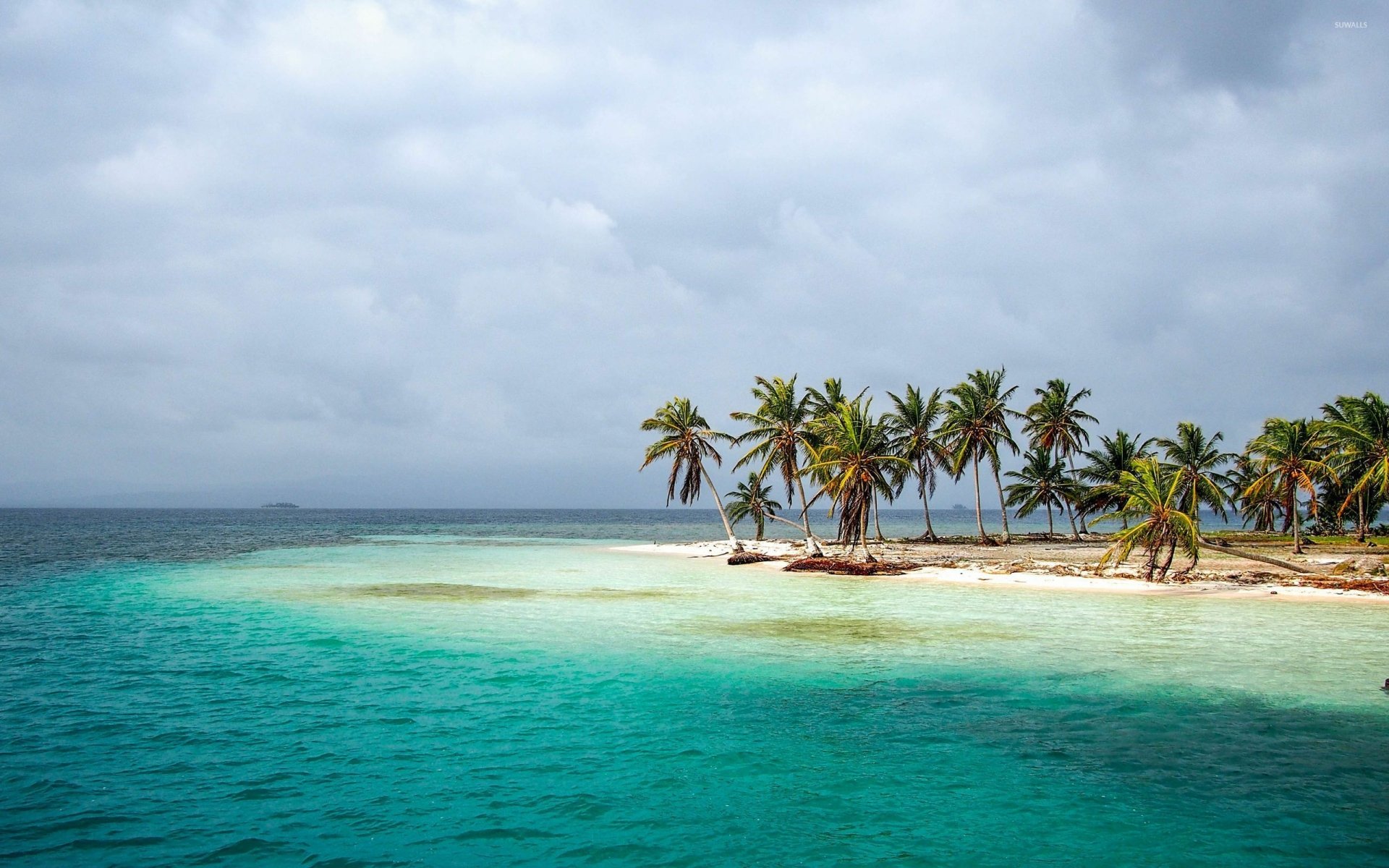 Download Horizon Tropical Sea Ocean Island Nature Palm Tree Tree HD ...