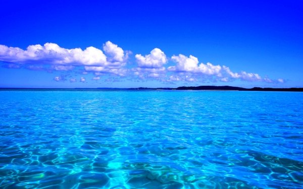 Nature Ocean Sea Caribbean Turquoise Sky Blue Horizon HD Wallpaper | Background Image
