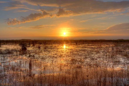 Sunset over the Everglades swamp in Florida, USA, golden sun on the horizon reflecting across wet grasses and a cloud-streaked sky — 2K Quad HD PC desktop wallpaper.