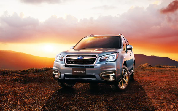 silver car car sunset SUV Subaru vehicle Subaru Forester HD Desktop Wallpaper | Background Image