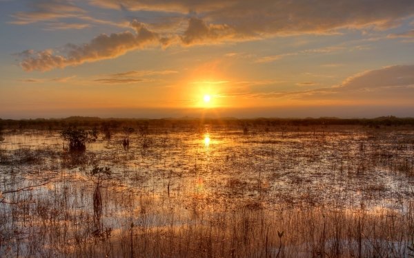 Nature Sunset Swamp Sun Sky Cloud Everglades Florida USA Horizon HD Wallpaper | Background Image