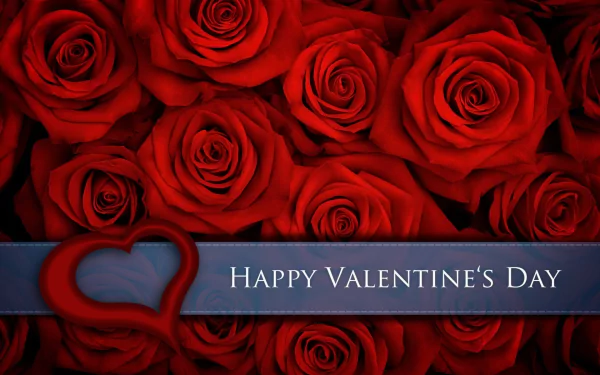 heart Happy Valentine's Day red red rose rose flower holiday Valentine's Day HD Desktop Wallpaper | Background Image