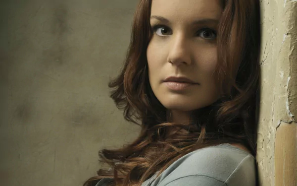 TV Show Prison Break HD Desktop Wallpaper | Background Image