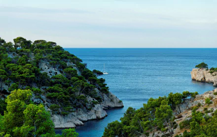 HD desktop wallpaper showcasing the lush coastline of Provence, France, with vibrant trees and a clear horizon over the blue sea.