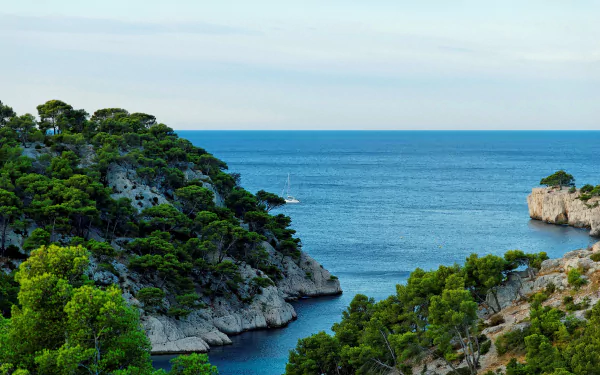 HD desktop wallpaper showcasing the lush coastline of Provence, France, with vibrant trees and a clear horizon over the blue sea.