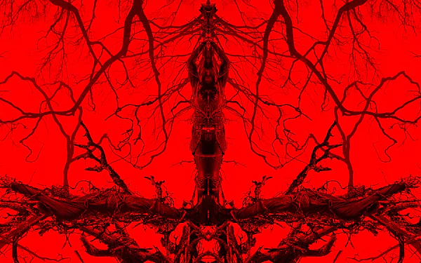 movie blair witch HD Desktop Wallpaper | Background Image