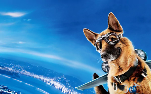 movie Cats & Dogs: The Revenge Of Kitty Galore HD Desktop Wallpaper | Background Image