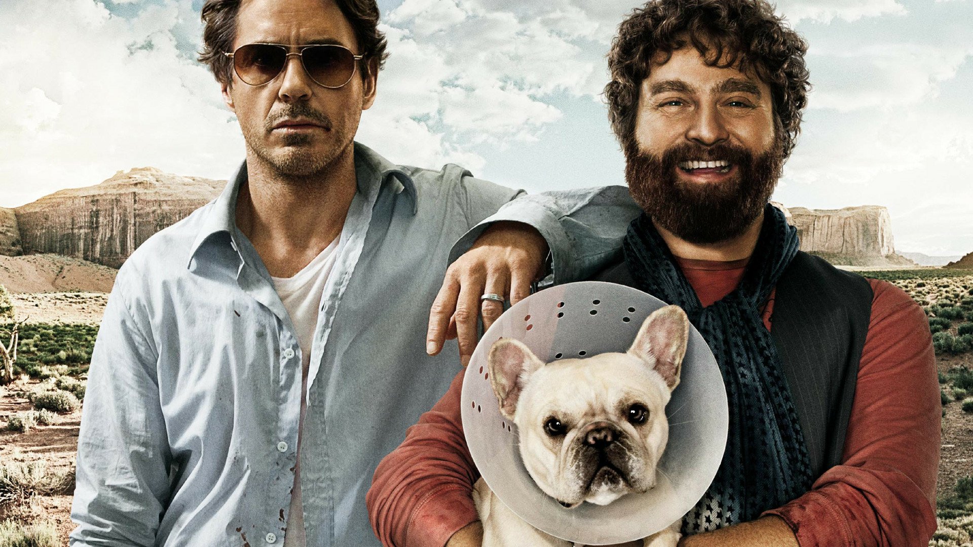 Download Movie Due Date HD Wallpaper