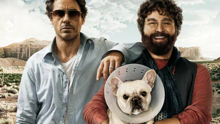 movie Due Date HD Desktop Wallpaper | Background Image