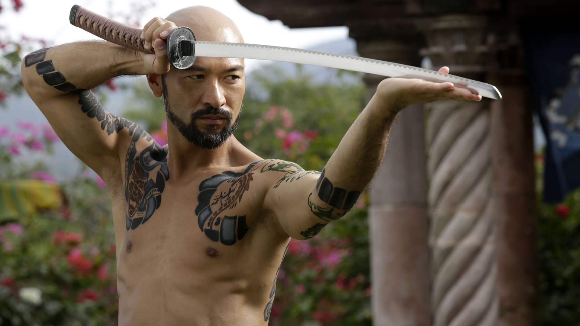 Download Movie Falcon Rising HD Wallpaper