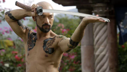 movie Falcon Rising HD Desktop Wallpaper | Background Image