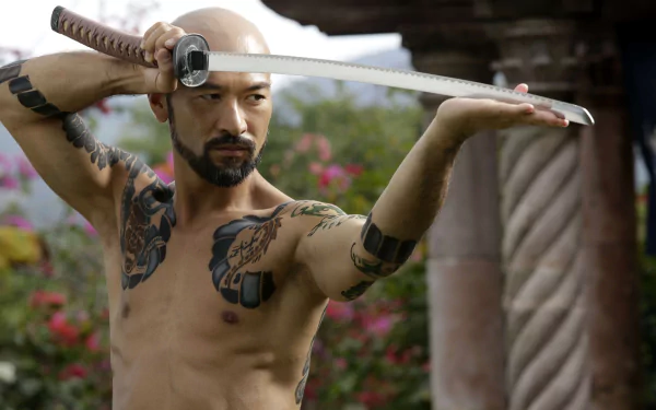 movie Falcon Rising HD Desktop Wallpaper | Background Image
