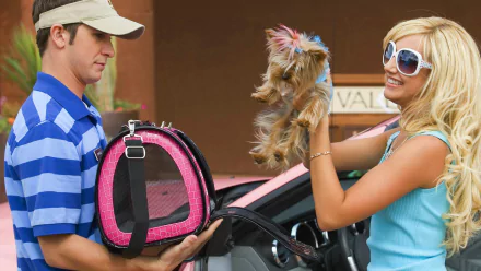 movie High School Musical 2 HD Desktop Wallpaper | Background Image