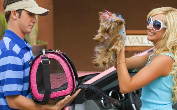 movie High School Musical 2 HD Desktop Wallpaper | Background Image