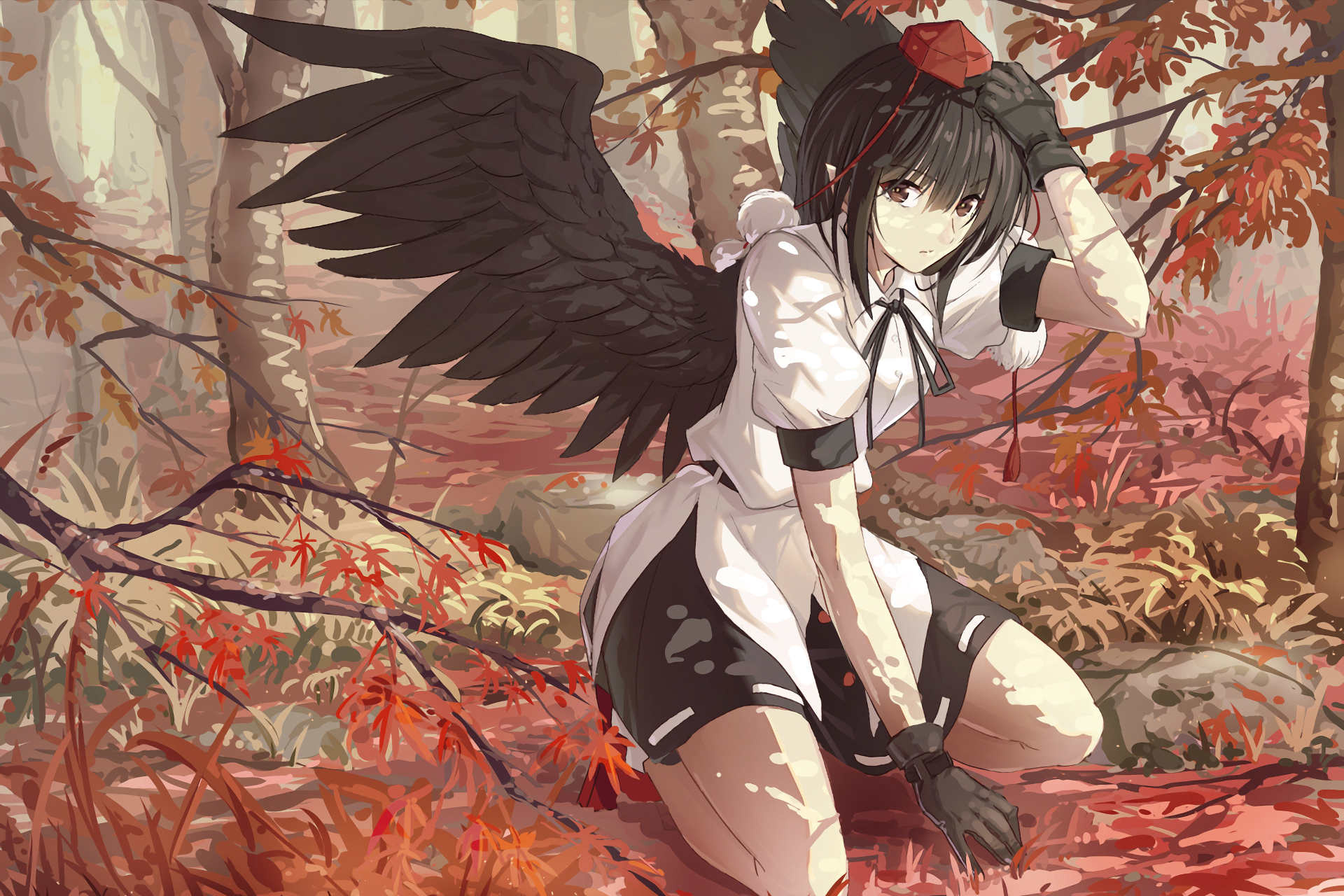 HD PC desktop wallpaper: Aya Shameimaru (Touhou) anime — crow-winged reporter kneeling in an autumn forest, red and brown foliage and a dynamic, windswept pose.