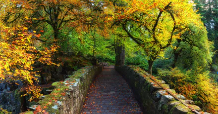 A scenic path through a vibrant fall forest, featuring lush trees and colorful leaves, with a charming brick-lined walkway bordered by a stone wall. 4K Ultra HD wallpaper.