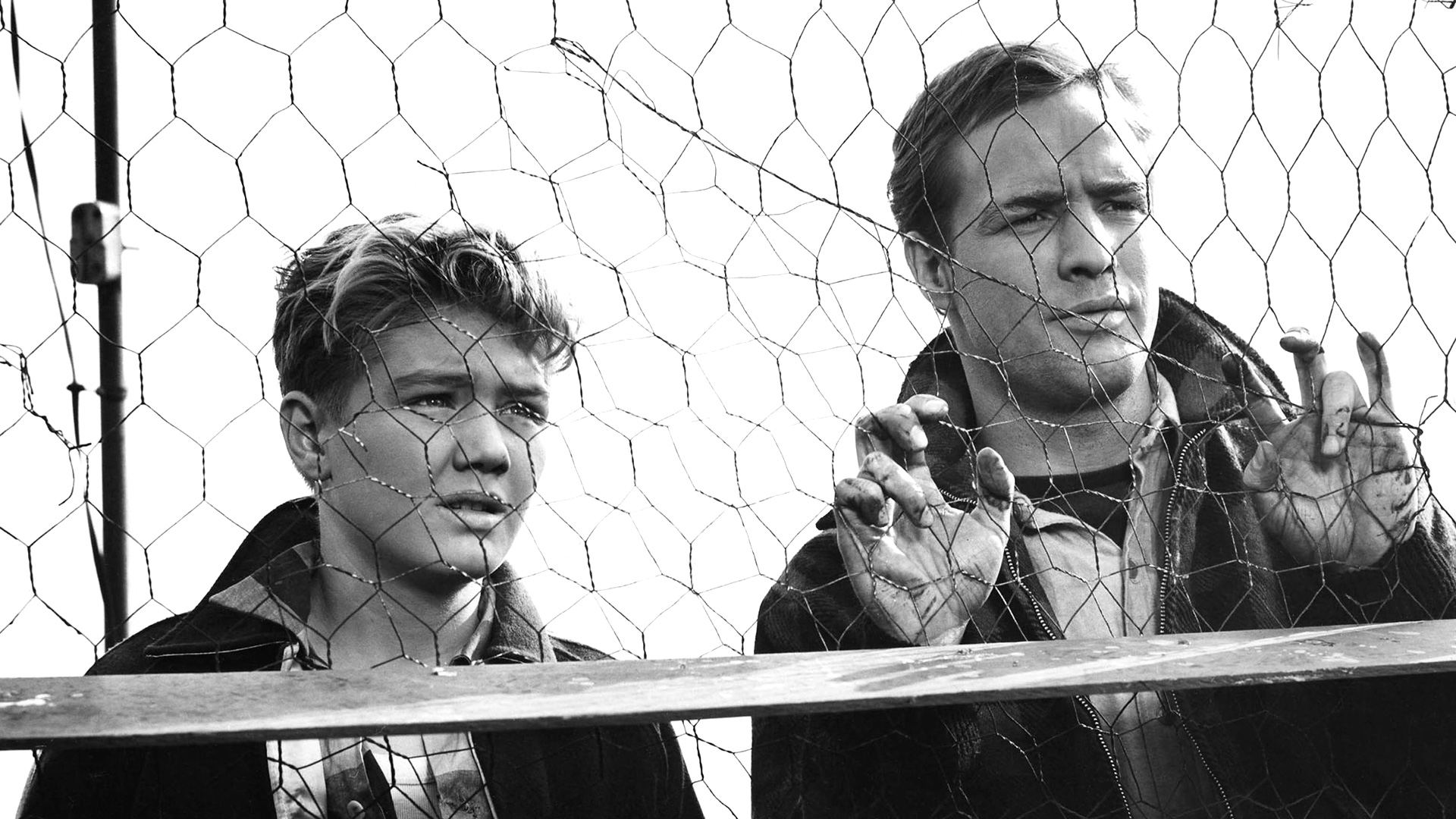 On the Waterfront HD Wallpaper