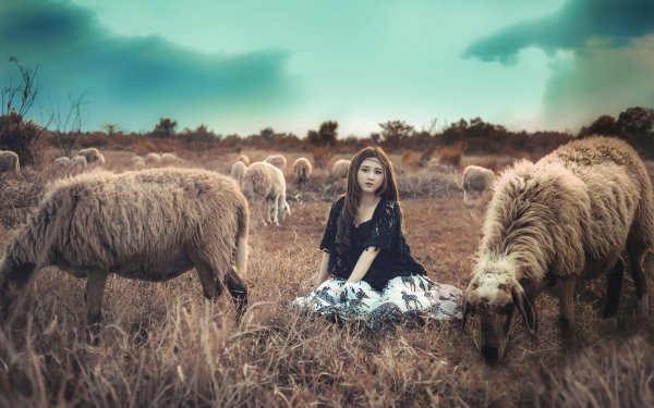 Women Asian Model Brunette Sheep HD Wallpaper | Background Image