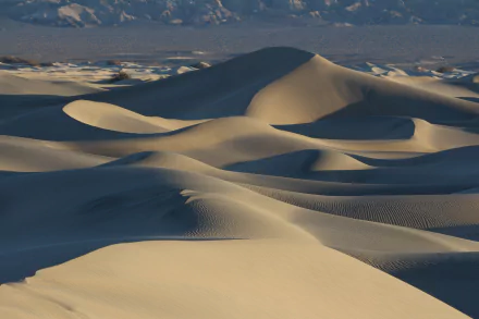 sand dune sand nature desert HD Desktop Wallpaper | Background Image