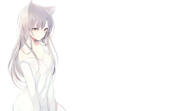 HD desktop wallpaper featuring an original anime character with long hair and cat ears, dressed in a white outfit, against a simple white background.