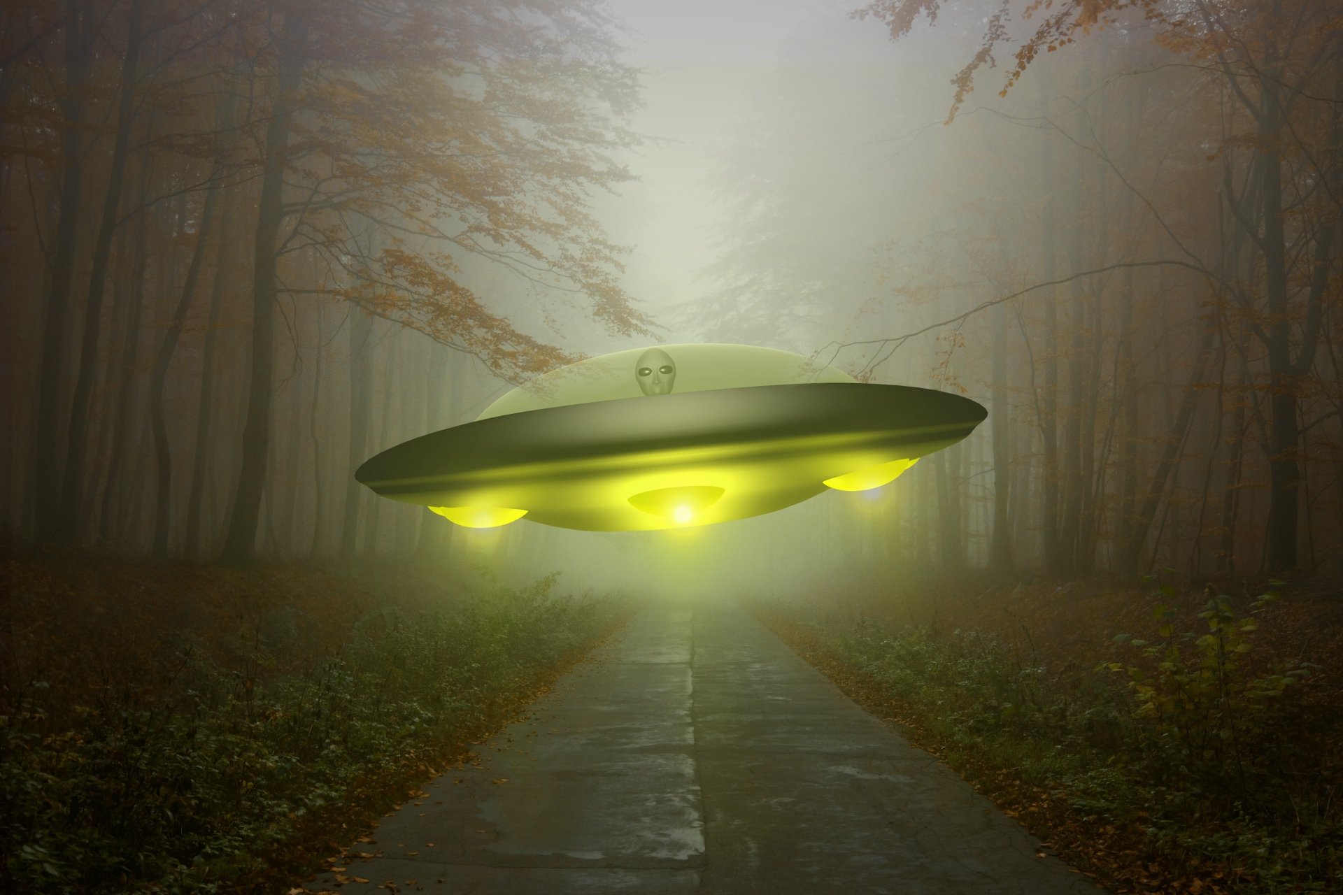 Alien Spaceship In Forest 4k Ultra Papel De Parede HD Plano De Fundo 