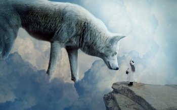 812 狼高清壁纸 桌面背景 Wallpaper Abyss 页面15