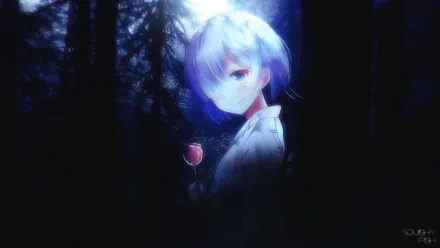 HD PC desktop wallpaper featuring Rem from the anime Re:Zero – Starting Life in Another World, standing in a dark forest holding a glowing red rose.