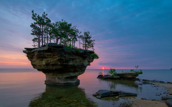 HD desktop wallpaper featuring a breathtaking sunset over the sea, with the sun near the horizon, a tree-topped rock formation in the foreground, and serene natural scenery.