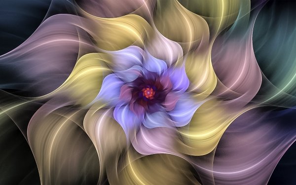 Abstract Fractal Flower Colors HD Wallpaper | Background Image