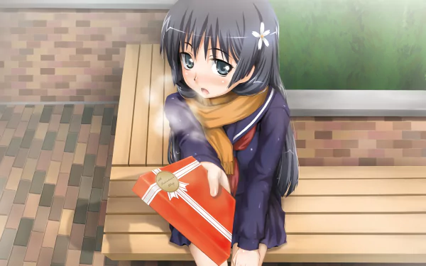 HD PC desktop wallpaper featuring Ruiko Saten from the anime A Certain Scientific Railgun, sitting on a bench outdoors, offering a wrapped gift with a shy expression.