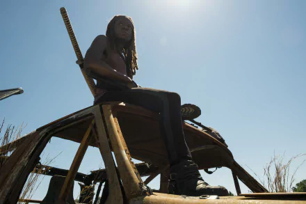 Michonne (The Walking Dead) Danai Gurira TV Show The Walking Dead HD Desktop Wallpaper | Background Image
