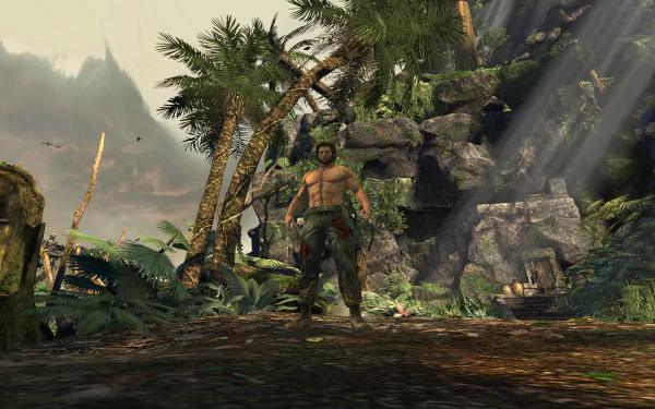 Wolverine X-Men video game X-Men Origins: Wolverine HD Desktop Wallpaper | Background Image