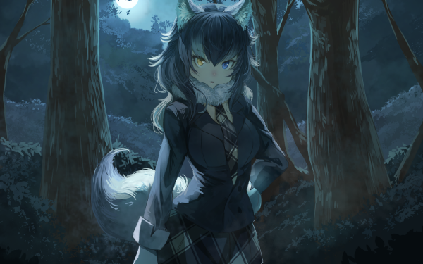 Anime Kemono Friends Grey Wolf Heterochromia HD Wallpaper | Background Image