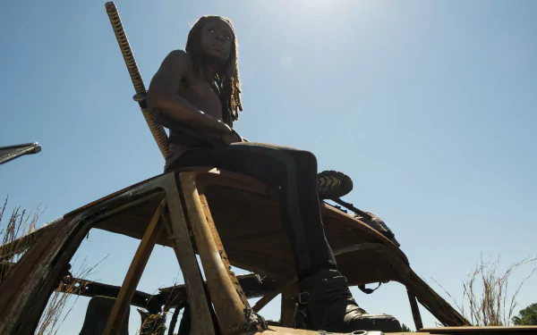 Michonne (The Walking Dead) Danai Gurira TV Show The Walking Dead HD Desktop Wallpaper | Background Image