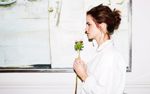 brunette English actress Celebrity Emma Watson HD Desktop Wallpaper | Background Image