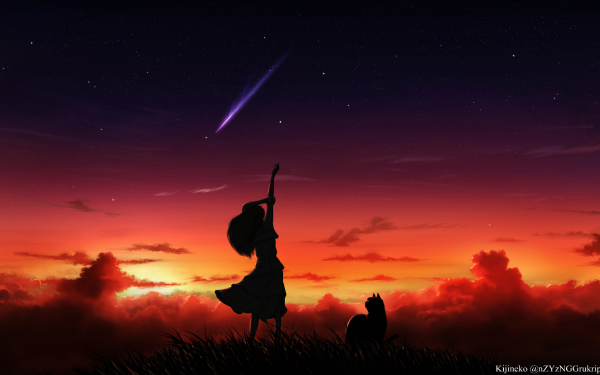 Anime Sunset Cat Cloud Silhouette Shooting Star Sky Stars HD Wallpaper | Background Image