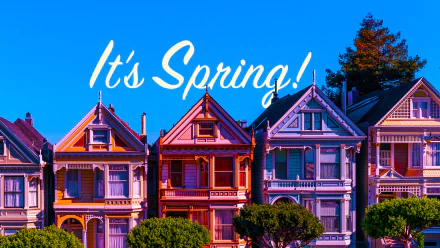 San Francisco spring colors architecture Painted ladies man made house HD Desktop Wallpaper | Background Image